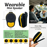 Haut-parleur extérieur haute puissance BT 5.3 TWS avec micro intégré, commande vocale et prise en charge de l'application pour radio portable et sports de plein air