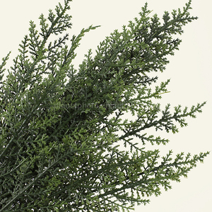 Hot Bán Trang Trí Nhà Bất Cảm Ứng Giáng Sinh Chi Nhánh Nhựa Mềm Nhân Tạo Nhà Máy Lớn Cây Bách Tuyết Tùng Thông Chi Nhánh Bó Hoa - Product Image 3