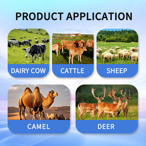 Urée à libération lente protégée par le rumen, libération contrôlée de l'azote pour une supplémentation sûre en NPN, soutient la synthèse des protéines microbiennes - Product Image 3