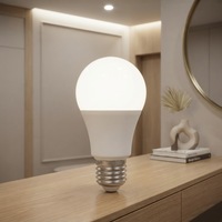 Ampoule LED A60 E27 B22 9W 810Lms 6500K 100-240V à économie d'énergie, certifiée CE RoHS ERP, pour la maison, le bureau et l'hôtel - Vente chaude