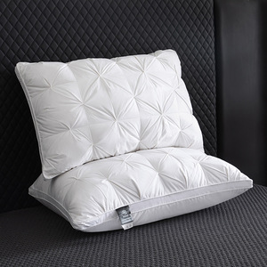 <span class=keywords><strong>Oreiller</strong></span> d'<span class=keywords><strong>hôtel</strong></span> <span class=keywords><strong>haut</strong></span> <span class=keywords><strong>de</strong></span> <span class=keywords><strong>gamme</strong></span> en duvet d'oie blanc, ne s'affaisse pas, ne se déforme pas, paire d'oreillers pour la protection <span class=keywords><strong>de</strong></span> la colonne cervicale à usage domestique - Product Image 2