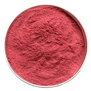 Poudre organique de haute qualité de racine de betterave rouge, poudre de betterave rouge