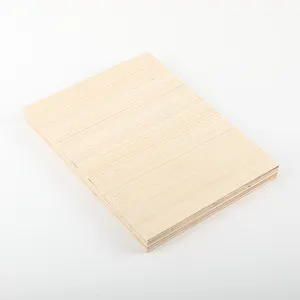 Hot Sale Factory Direct Price 18MM Birch Plywood Man Made Double Surface Vietnam Plywood For Furniture Cupboard Wardrobe