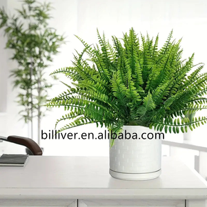 Simulación de hierba <span class=keywords><strong>persa</strong></span>, <span class=keywords><strong>caballo</strong></span> de mar, plantas de hierba, planta verde, decoración de pared, flores, hojas verdes, helechos de otoño - Product Image 4