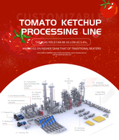 Solution complète de machines de pâte de tomate d'usine automatique Ligne de production complète de ketchup de pâte de tomate