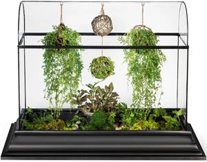 Récipients <span class=keywords><strong>en</strong></span> verre pour plantes d'intérieur modernes Terrarium <span class=keywords><strong>Kit</strong></span> de jardin comme cadeau unique Serre de sol pour plantes orchidées succulentes - Product Image 1