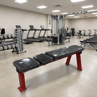 Banc de musculation multifonctionnel pour exercices de fitness, banc plat pour sit-ups et développés couchés