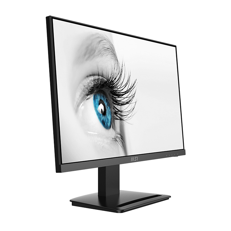 MSI PRO MP243X 24インチ FHD IPS ビジネスモニター（2x3Wスピーカー