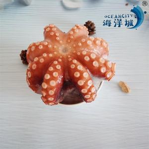 Delicious Live Octopus China Origin IQF Sushi Flor de <span class=keywords><strong>pulpo</strong></span> congelada Bolsa a la venta al por menor <span class=keywords><strong>Pulpo</strong></span> Pescado - Product Image 6