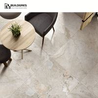 Dalle de porcelaine en marbre gris clair mat doux à faible absorption d'eau pour mur de salle de bain ou zone humide 600x1200x10
