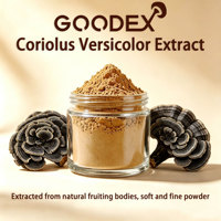 Extrait de Trametes Versicolor en poudre, extrait de champignon Queue de dinde, riche en polysaccharides et PSP, matière première de qualité alimentaire