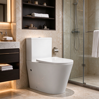 WC en céramique à siphon jet deux pièces avec abattant à fermeture douce, siphon en S 300 mm, équipement sanitaire pour salle de bain