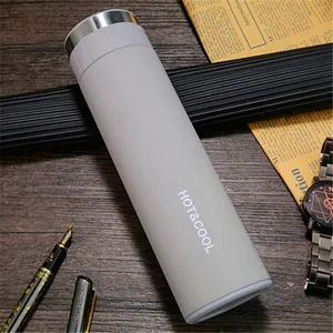 Bo Thermo avec filtre à thé Thermo flacon sous vide pour thé en acier inoxydable flacons sous vide naturels écologiques & thermos 6-12 heures