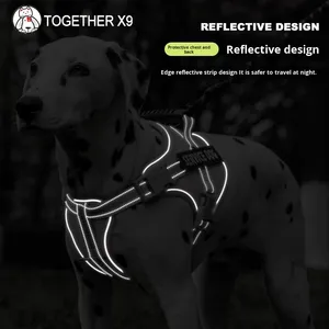 Ensemble laisse et harnais pour chien en nylon rembourré avec fermeture à boutons, style mode, pour grandes races, entraînement, randonnée, plusieurs couleurs - Product Image 4