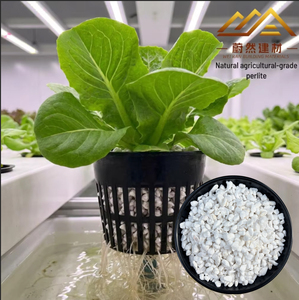 <span class=keywords><strong>Perlite</strong></span> expansée de qualité agricole pour l'horticulture, conditionneur de sol léger, substrat hydroponique - Product Image 2