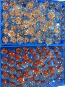 ลูกบอล TPU <span class=keywords><strong>ใส</strong></span>ขนาด 45 มม. เด้งดี บรรจุน้ำและกลิตเตอร์รูปดาว ของเล่นสำหรับงานปาร์ตี้ ของขวัญสำหรับเด็ก เล่นกีฬา - Product Image 6