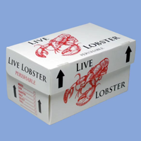 Boîte à huîtres de palourde résistante à l'eau salée PP feuille creuse caisse de fruits de mer conteneur en plastique anticorrosion stockage de la chaîne du froid
