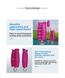 Aerogeneradores de Eje Vertical al por Mayor, 100W, 200W, 600W, 1000W, con Seguimiento Automático del Viento - Product Image 2