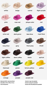 Chapeaux de Cowboy Personnalisables <span class=keywords><strong>en</strong></span> Feutre de <span class=keywords><strong>Laine</strong></span> Couleur Unie, Chapeaux Fedora <span class=keywords><strong>en</strong></span> <span class=keywords><strong>Laine</strong></span> 100% Haute Qualité à Large Bord pour Femmes Hommes, Robe Tendance - Product Image 2