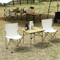 Table de camping pliante en métal portable 120x55x50cm, design moderne, pour extérieur, jardin, hôtel, usage populaire