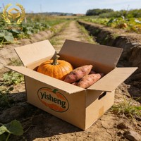 Ecologisch recyclebare golfkartonnen groente- en fruittransportdoos, anti-kneus, geventileerd, kartonnen doos voor groenten en fruit, bulk, gerecycleerde materialen