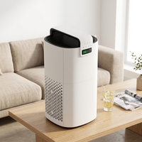 2023 Golden fournisseur maison épurateur d'air HEPA filtre unité nouveau Design 2/4/8H minuterie électrique Portable aromathérapie EU Plug-Hot