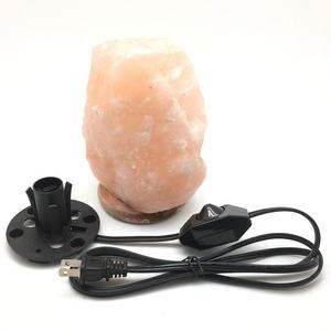 Amerikanisches 2-poliges Gleichstrom-Netzkabel mit 1A 110V Dimmschalter E12, 1,5M Salzlampenkabel, Abisolierte Buchse, Glühbirne Inklusive - Product Image 2