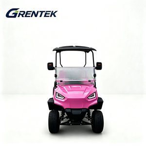 Carrito de Golf Eléctrico Todoterreno de 6 Plazas, Mini Tramván para Parques, Motor de 3500W, 50-70km/h, 48V, para Caminos No Públicos - Product Image 1