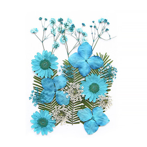 ชุดดอกไม้แห้งผสมธรรมชาติ กลีบดอก ใบไม้ และตัวอย่างพืชสำหรับงานเรซิ่น งานทำเทียน และสบู่ - Product Image 4