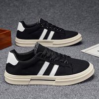 Chaussures pour hommes, baskets basses en toile pour le skateboard, fabrication directe d'usine, antidérapantes, robustes, respirantes, durables, chaussures décontractées