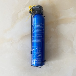 <span class=keywords><strong>Extincteur</strong></span> d'incendie à eau jetable de <span class=keywords><strong>type</strong></span> portable / à poignée de haute qualité 450g pour centre commercial - Product Image 2
