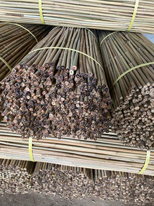 Long Lasting Natural Bamboo Stakes Agricultural <b>Plant</b> <b>Support</b> <b>Garden</b> Canes <b>For</b> Vineyard Nursery Farming Wholesale Bulk - Product Image 5