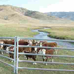 6 Feet Portable Heavy Duty Galvanized Metal Pen Cattle Corral Livestock Farm Horse Rodent Proof Waterproof <strong>Hog</strong> Wire Fencing - Product Image 3