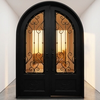 Porte en fer forgé à double arche avec vitrage