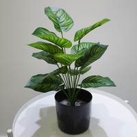 Mini plantes artificielles en pot Calathea mazoyana plantes artificielles avec Pots en plastique décoration de la maison