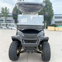 Voiturette de golf électrique certifiée CE de haute qualité Sièges confortables Batterie de buggy extérieure Produit en nouvel état