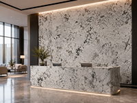 Dalles de granit blanc Alpinus polies pour comptoirs de cuisine, dessus de meubles de salle de bain, revêtements muraux, marches d'escalier, dessus de tables à manger