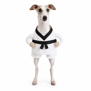 Costume d'Halloween pour chien, style <span class=keywords><strong>karaté</strong></span>, arts martiaux, ceinture noire de Taekwondo, Kimono blanc, tenue amusante pour animaux de compagnie, pour chiens et chats - Product Image 6