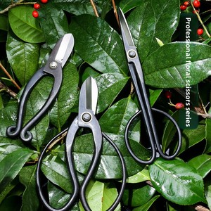 Tijeras y Cortadoras Profesionales para Arreglos Florales, Herramientas de Jardinería Japonesa Ikenobo, Color Negro/Plateado - Product Image 4