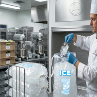 Sacs à glace à cordon de serrage de grande capacité avec logo personnalisé, sacs à glace en plastique transparent de 20 lb, sacs à cordon de serrage