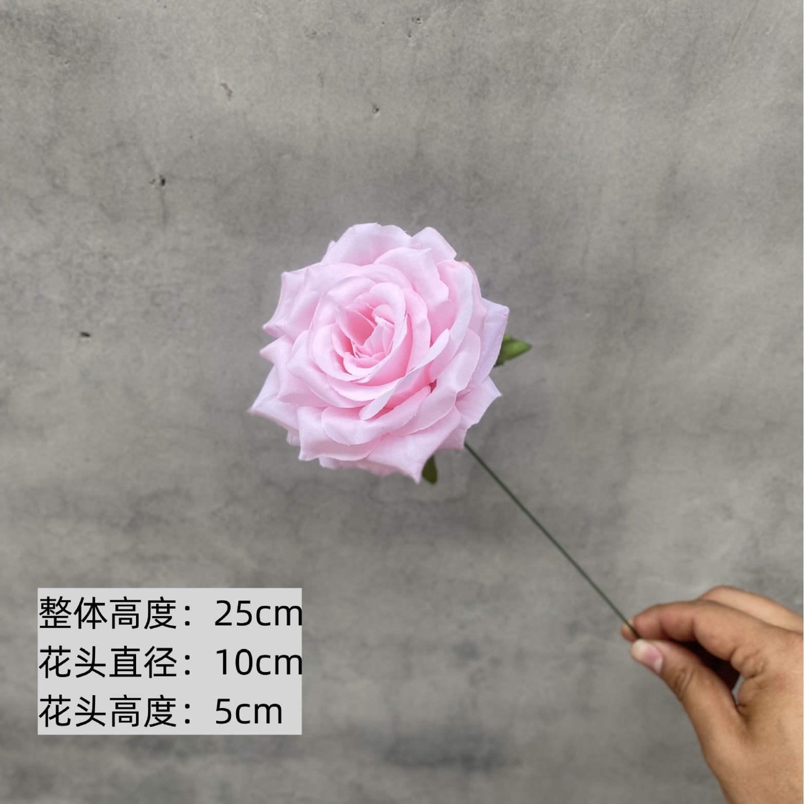 Tête de rose