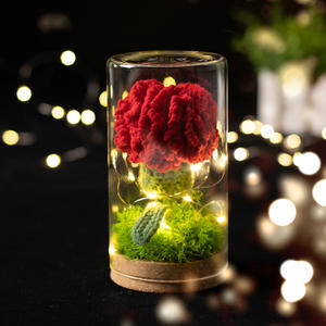 Bouquet tricoté à la main d'oeillet rose avec lampe et couverture transparente fleur éternelle Crochet oeillet en <span class=keywords><strong>pot</strong></span> décors de maison romantiques - Product Image 2