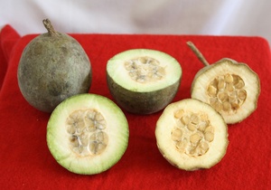 Polvo de Huito Peruano Silvestre Premium (Genipa Americana) Secado por Aspersión, Alimento para Tatuajes Temporales, Uso Alimentario, Certificado HACCP, 100% Agua - Product Image 6