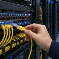 Kabel Patch Jaringan Berkualitas Tinggi 305m CCA Cat6a UTP FTP SFTP 23AWG untuk Pengkabelan Ruang Server Profesional
