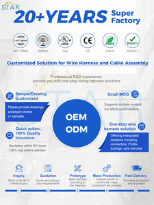 कस्टम ऑटो वायर हार्नेस 100/120/150/200/300/350/400 मिमी 2*0.5 mmm² 2*0.5 mm² 2*0.5 2*1.5 mm² 2*2.5 mm² कार तार दोहन - Product Image 6