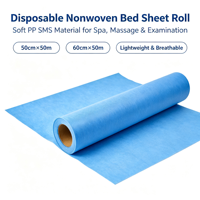 Drap de lit jetable perforé en rouleau, en papier PE, bleu et blanc, imperméable, pour les soins de beauté et les massages