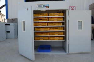 Incubadora de Huevos Automática para Grandes Granjas, Modelo HT-1056, para Agricultores del Mundo - Product Image 2