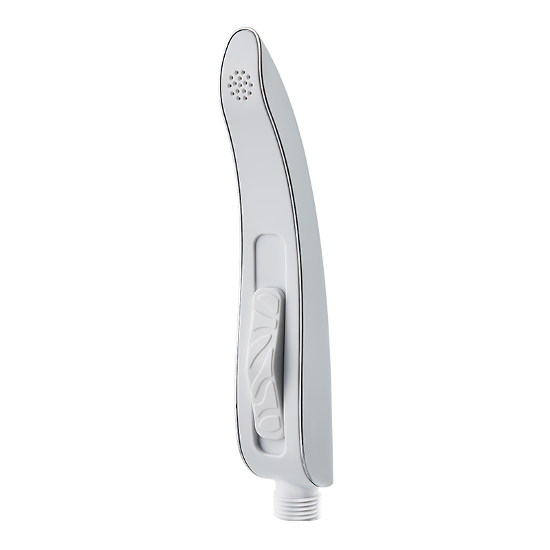 Seulement le pulvérisateur de bidet