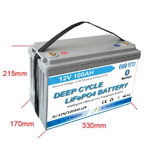 12 V 100 AH intelligente Tiefzyklus-Lithium-Eisen-Phosphat-Batterie 12,8 V LiFePO4 Batterie