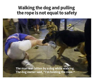 Barre de répulsif de dissuasion de chien et de chat à ultrasons effrayés puissants portatifs portatifs aucun dispositif anti-aboiement de bruit de chien pour l'extérieur - Product Image 4